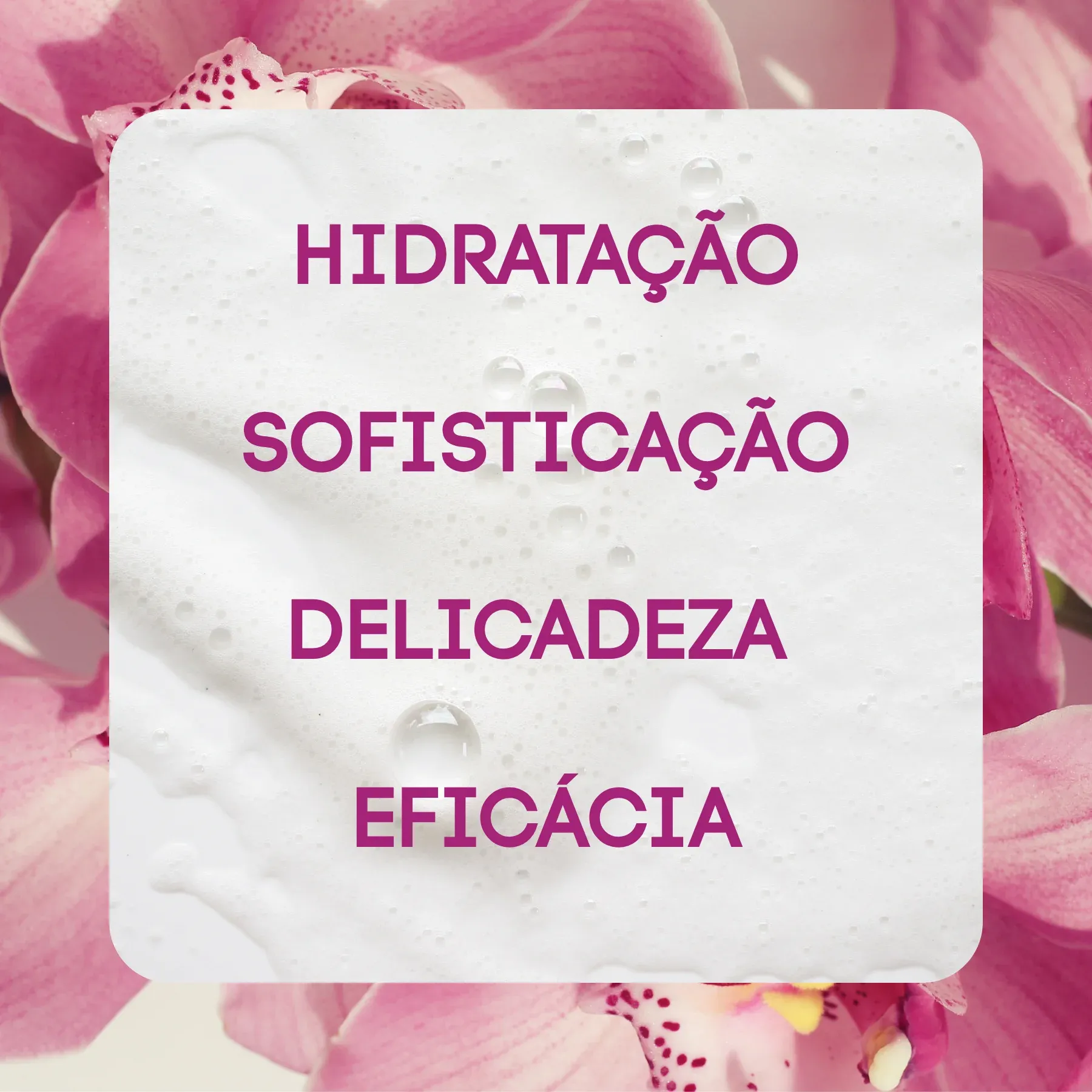 ORQUIDEA -2-